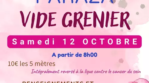 Vide Grenier 